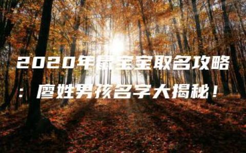 2020年鼠宝宝取名攻略：廖姓男孩名字大揭秘！