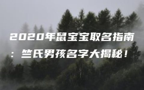 2020年鼠宝宝取名指南：竺氏男孩名字大揭秘！