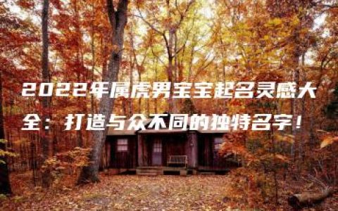 2022年属虎男宝宝起名灵感大全：打造与众不同的独特名字！