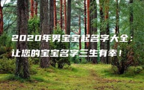 2020年男宝宝起名字大全：让您的宝宝名字三生有幸！