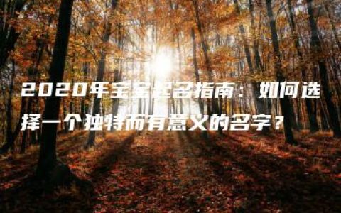 2020年宝宝起名指南：如何选择一个独特而有意义的名字？