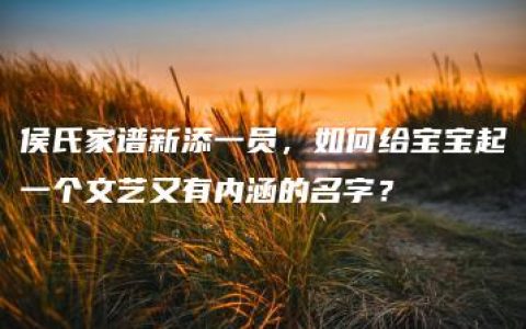 侯氏家谱新添一员，如何给宝宝起一个文艺又有内涵的名字？