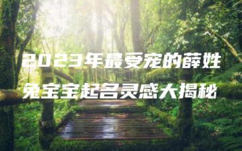 2023年最受宠的薛姓兔宝宝起名灵感大揭秘