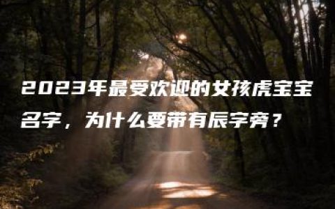 2023年最受欢迎的女孩虎宝宝名字，为什么要带有辰字旁？