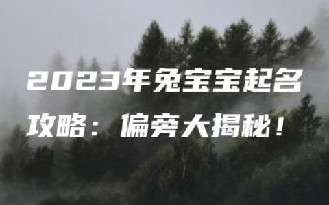 2023年兔宝宝起名攻略：偏旁大揭秘！