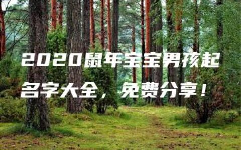 2020鼠年宝宝男孩起名字大全，免费分享！