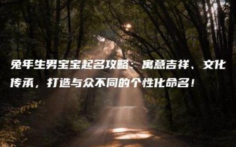 兔年生男宝宝起名攻略：寓意吉祥、文化传承，打造与众不同的个性化命名！