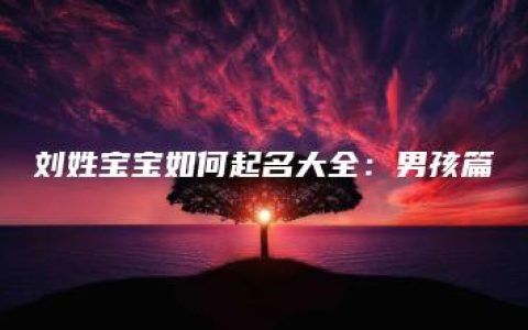 刘姓宝宝如何起名大全：男孩篇