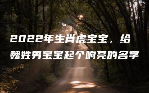 2022年生肖虎宝宝，给魏姓男宝宝起个响亮的名字