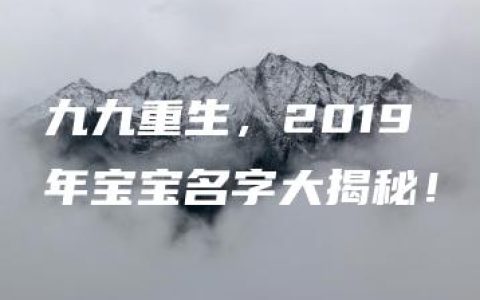 九九重生，2019年宝宝名字大揭秘！