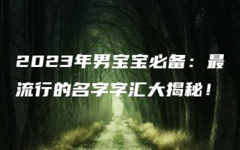 2023年男宝宝必备：最流行的名字字汇大揭秘！