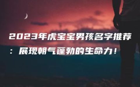 2023年虎宝宝男孩名字推荐：展现朝气蓬勃的生命力！