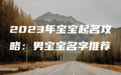 2023年宝宝起名攻略：男宝宝名字推荐