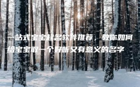 一站式宝宝起名软件推荐，教你如何给宝宝取一个好听又有意义的名字