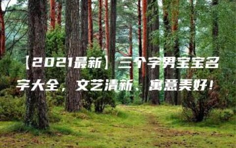 【2021最新】三个字男宝宝名字大全，文艺清新、寓意美好！