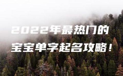 2022年最热门的宝宝单字起名攻略！