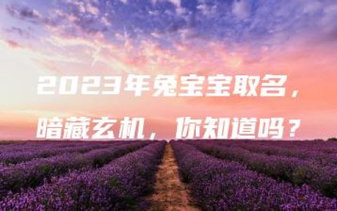 2023年兔宝宝取名，暗藏玄机，你知道吗？