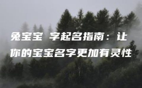 兔宝宝瑄字起名指南：让你的宝宝名字更加有灵性