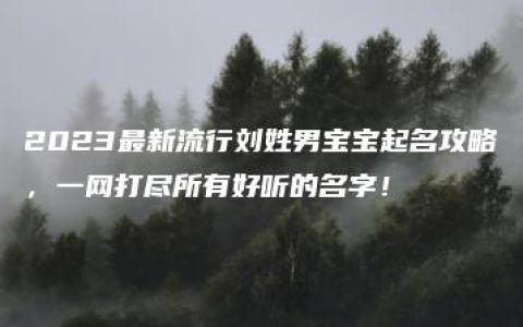 2023最新流行刘姓男宝宝起名攻略，一网打尽所有好听的名字！