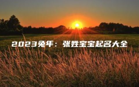 2023兔年：张姓宝宝起名大全