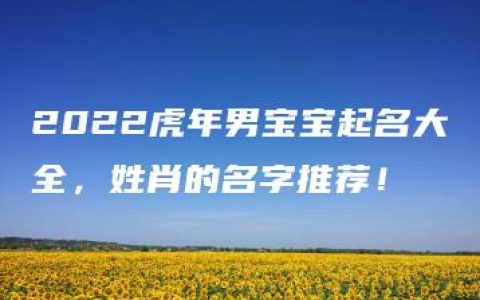 2022虎年男宝宝起名大全，姓肖的名字推荐！