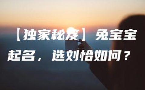 【独家秘笈】兔宝宝起名，选刘恰如何？