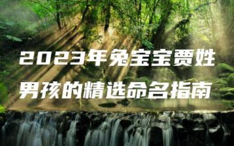 2023年兔宝宝贾姓男孩的精选命名指南