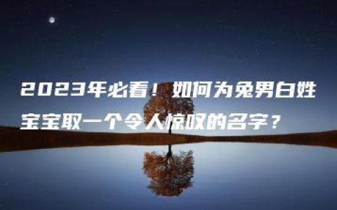 2023年必看！如何为兔男白姓宝宝取一个令人惊叹的名字？