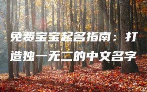 免费宝宝起名指南：打造独一无二的中文名字