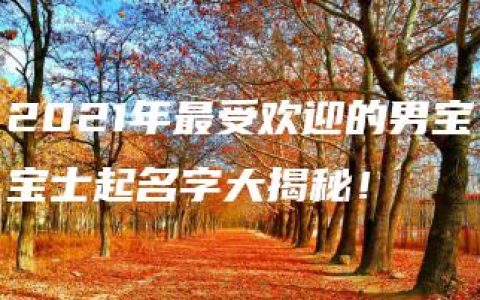 2021年最受欢迎的男宝宝士起名字大揭秘！