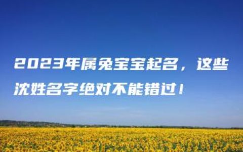 2023年属兔宝宝起名，这些沈姓名字绝对不能错过！