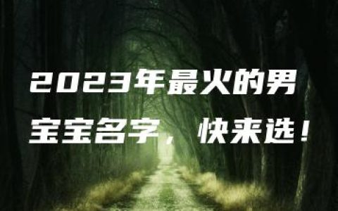 2023年最火的男宝宝名字，快来选！