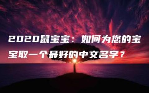 2020鼠宝宝：如何为您的宝宝取一个最好的中文名字？