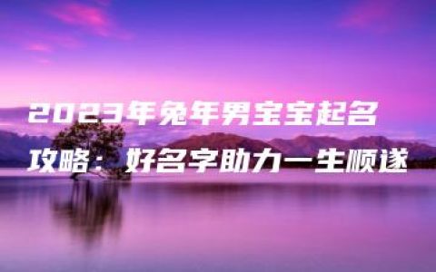 2023年兔年男宝宝起名攻略：好名字助力一生顺遂