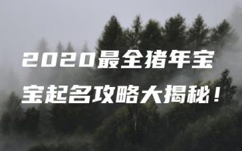 2020最全猪年宝宝起名攻略大揭秘！