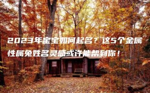 2023年宝宝如何起名？这5个金属性属兔姓名灵感或许能帮到你！