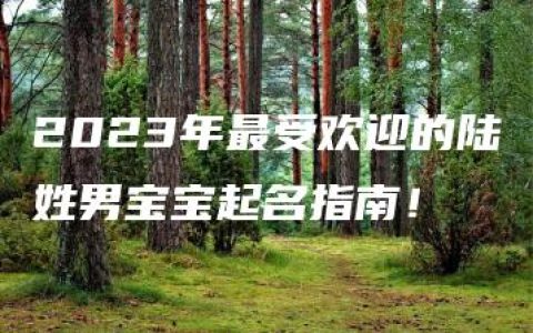 2023年最受欢迎的陆姓男宝宝起名指南！