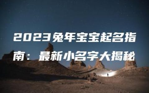 2023兔年宝宝起名指南：最新小名字大揭秘