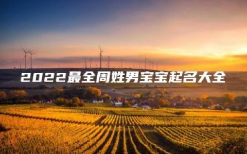 2022最全周姓男宝宝起名大全