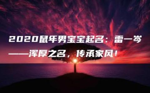 2020鼠年男宝宝起名：雷一岑——浑厚之名，传承家风！