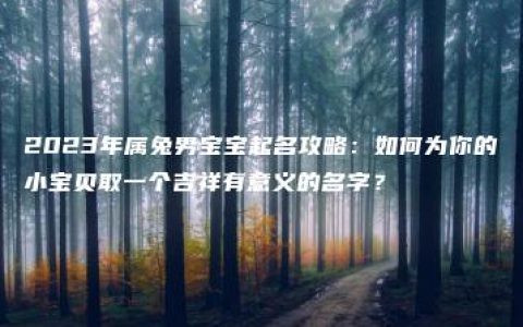 2023年属兔男宝宝起名攻略：如何为你的小宝贝取一个吉祥有意义的名字？