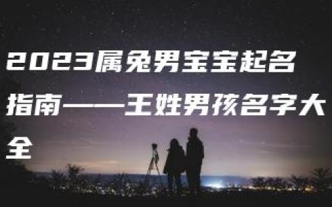 2023属兔男宝宝起名指南——王姓男孩名字大全