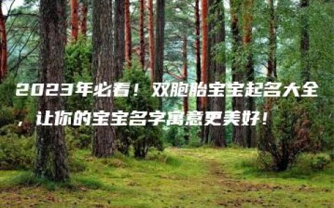 2023年必看！双胞胎宝宝起名大全，让你的宝宝名字寓意更美好！