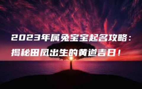 2023年属兔宝宝起名攻略：揭秘田凤出生的黄道吉日！