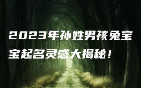 2023年孙姓男孩兔宝宝起名灵感大揭秘！