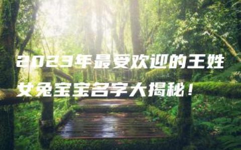 2023年最受欢迎的王姓女兔宝宝名字大揭秘！