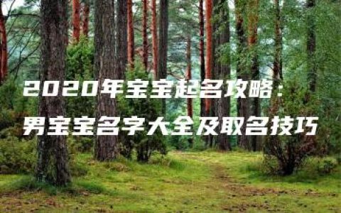 2020年宝宝起名攻略：男宝宝名字大全及取名技巧