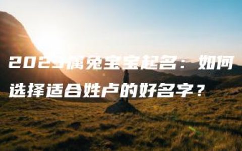 2023属兔宝宝起名：如何选择适合姓卢的好名字？