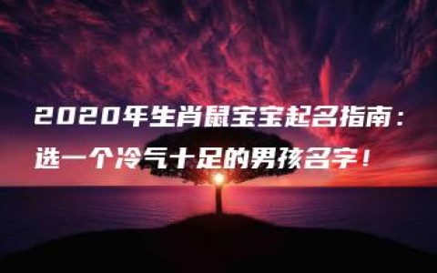 2020年生肖鼠宝宝起名指南：选一个冷气十足的男孩名字！