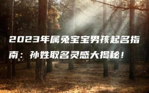 2023年属兔宝宝男孩起名指南：孙姓取名灵感大揭秘！